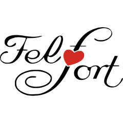 Felt Fort